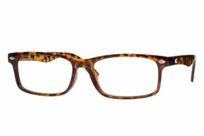 Akiniai skaitymui Unisex Turtle, Marga
